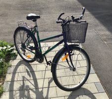 Damenvelo Free-Tone grün violett mit Korb guter Zustand