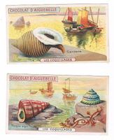 Cartes publicitaires - Chromo