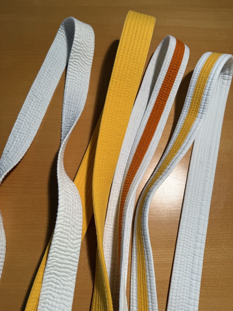 Kimono: Judoanzug Gr. 120 mit Gurt – Usato da Pfeffingen venduto da laxmi3 1