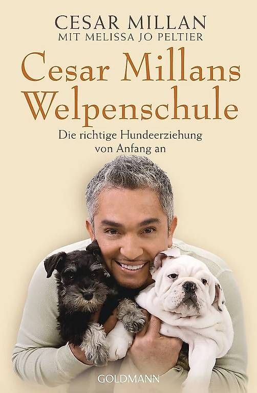 Libri: CESAR MILLANS WELPENSCHULE – Usato da Amsoldingen venduto da Elfenlieb