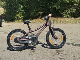 Kindervelo Scott - super Zustand - mit Tail-Gator