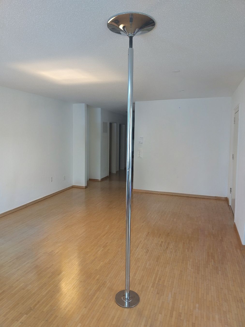 Hometrainer: Poledance Stange – Usato da Bassersdorf venduto da kaeferli_es