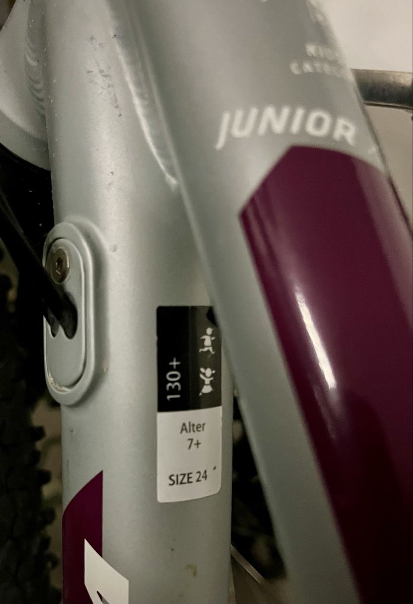 Wheeler Biciclette: Wheeler Junior 24 Zoll Hardtail Mountainbike – Usato da Klosters venduto da Exkursion 1