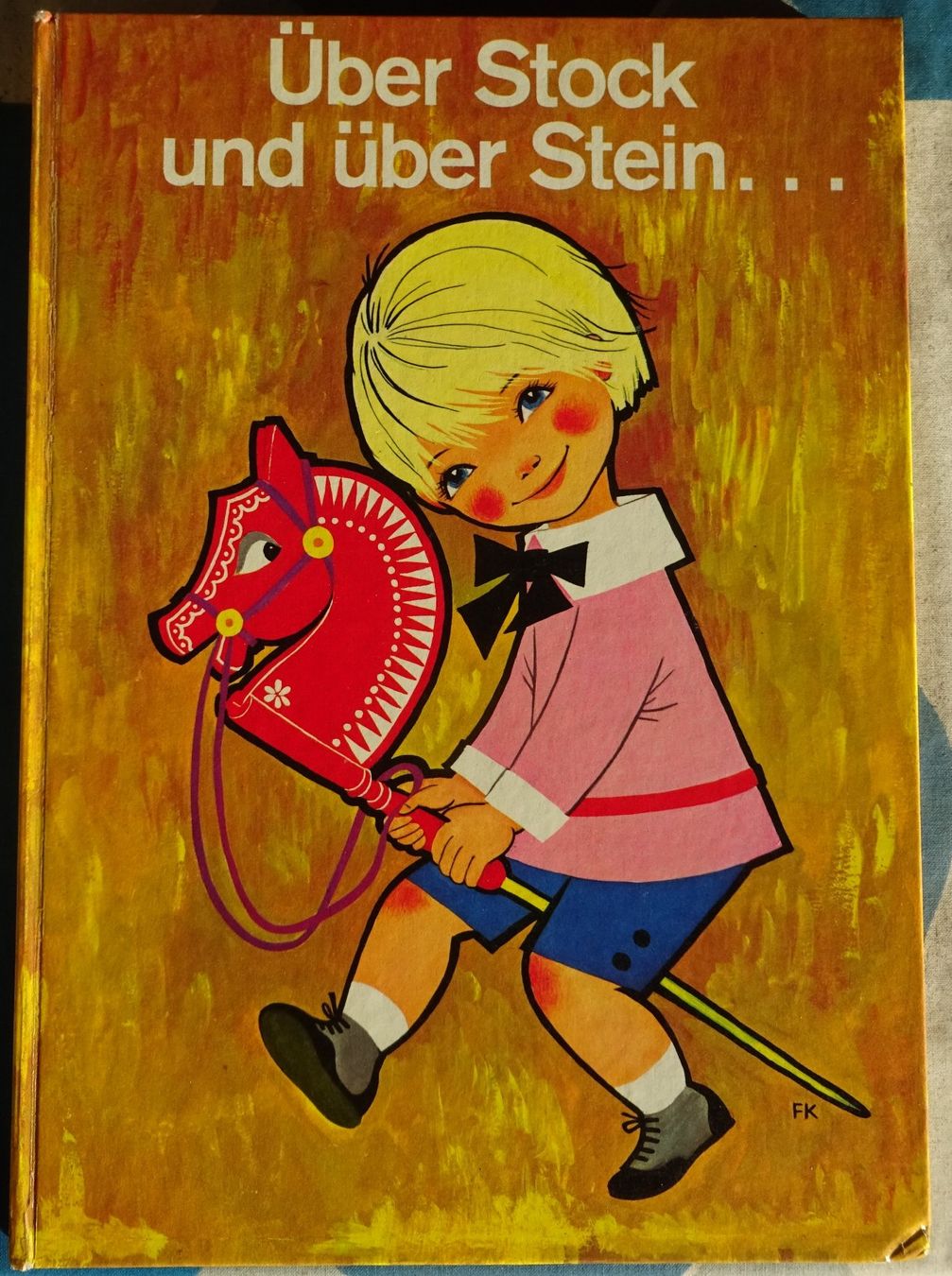 Libri: Über Stock und Stein – Usato da Bern venduto da Hero2.0