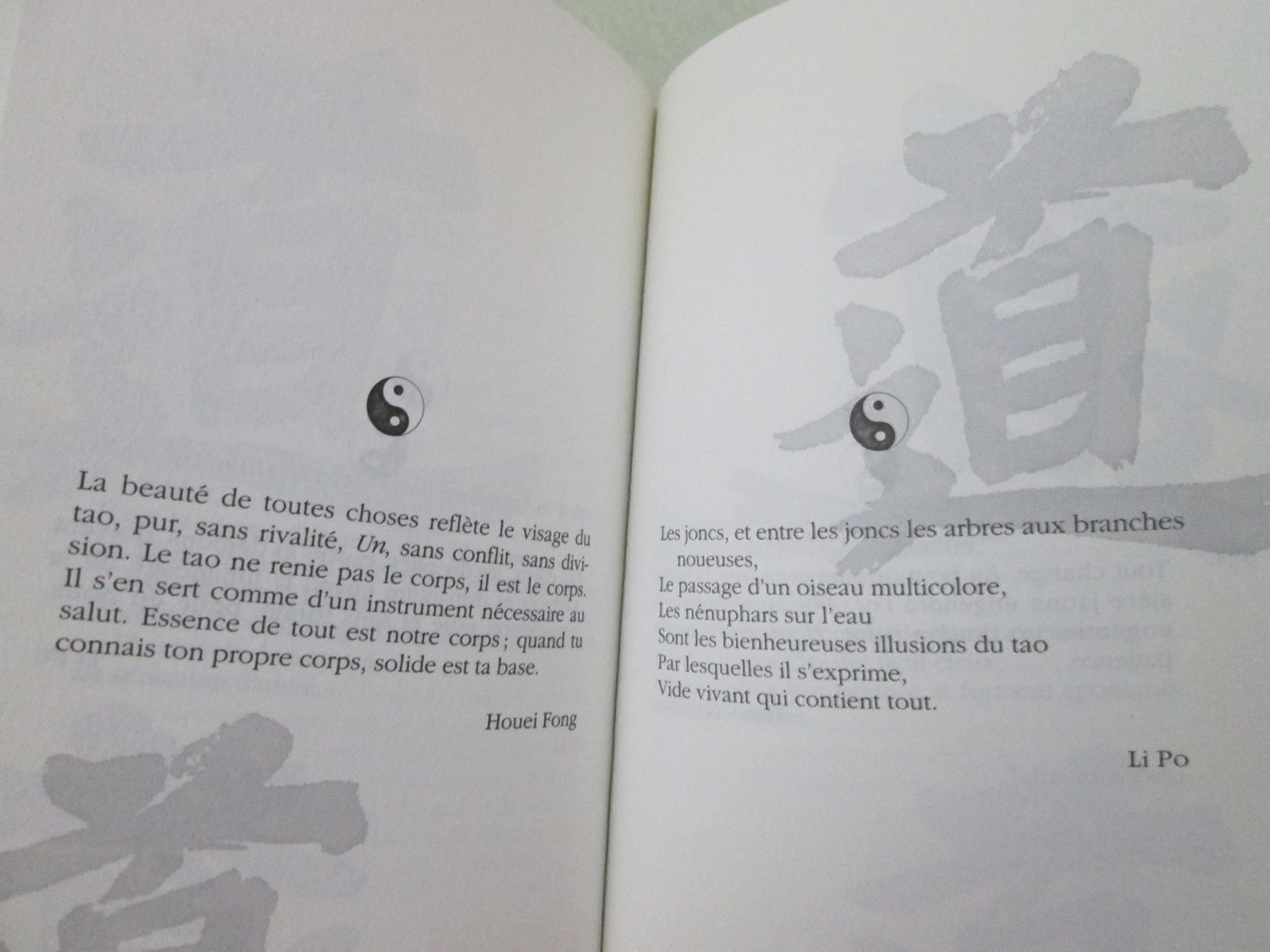 Bücher: Méditations du Tao – Gebraucht aus Neuchâtel von Dualseele 6