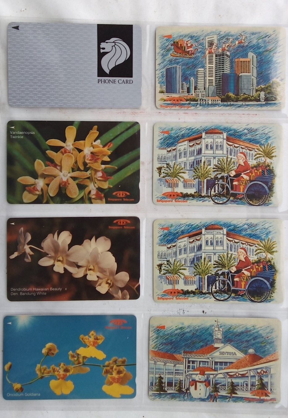 Cartes de téléphone: 8 Telefonkarten Singapur – D'occasion à Zürich par Tolima194