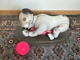 Sony Aibo ERS-1000 | Roboterhund