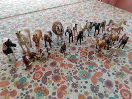 Schleich Pferde