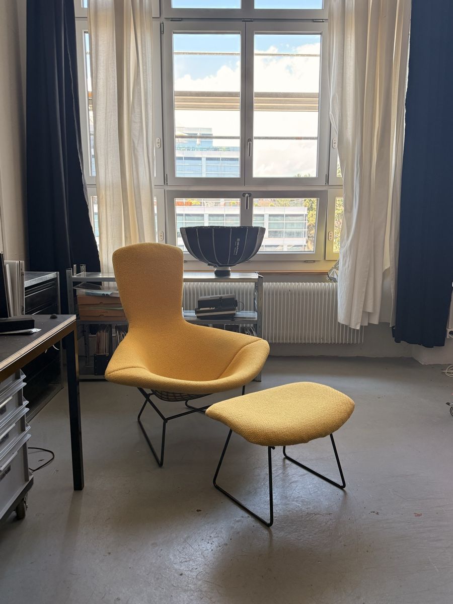 Poltrone: Design Sessel Knoll / Bertoria / Bird Chair – Usato da Zürich venduto da El-Ga 6