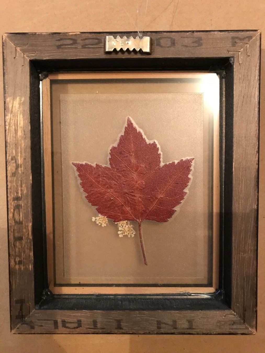 Foto & Immagini: Bild Ahornblatt Kanada – Usato da Triesenberg venduto da Anastasia26 1
