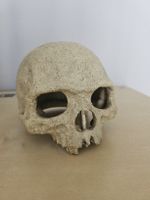Totenkopf Deko aus Kunstharz beige, guter Zustand, gebraucht