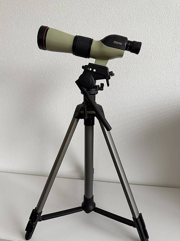Telescopi: Nikon Fernrohr / Fieldscope ED II – Usato da Hausen AG venduto da jus_ns87 1