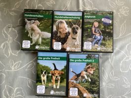 Lehrvideos von Anita Balser