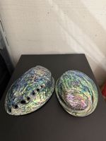 2x Muscheln geschliffen und  poliert neu ungebraucht