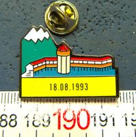 LUZERN 1993 BRAND PIN