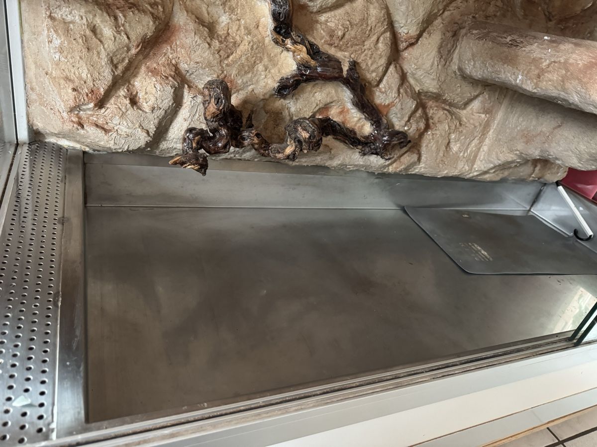 Terrario: Terrarium Forex Aluprofile – Usato da Wittinsburg venduto da Kira77 7