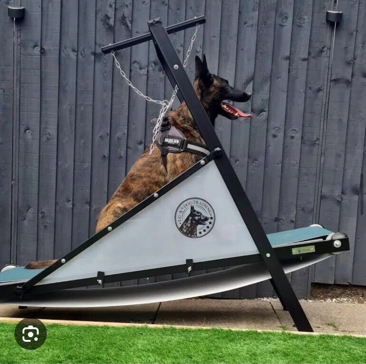 Remorques autochargeuses/d'ensilage: Tapis de course pour chien FIREPAW – Neuf (Voir description) à  par