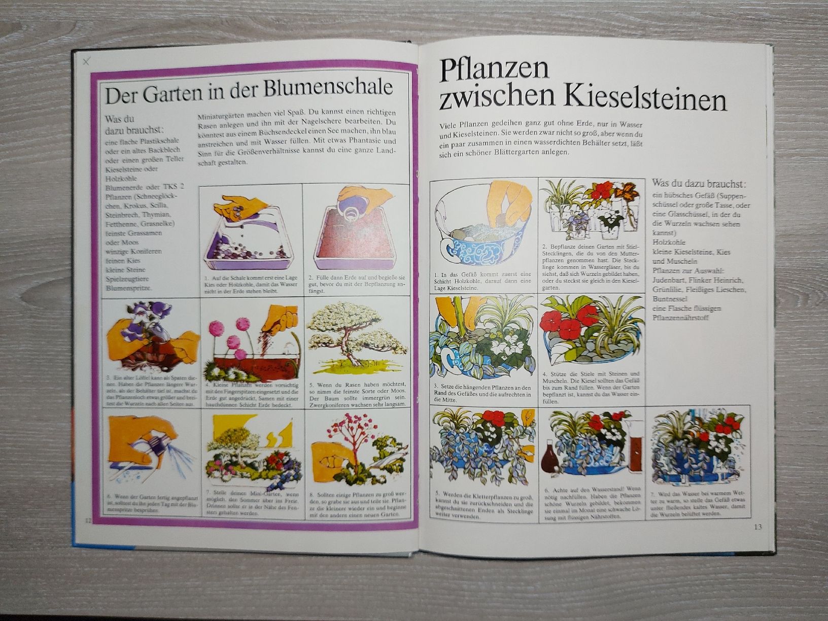 Livres: Gartenbuch für Kinder  – D'occasion à Bern par Bernaro 4
