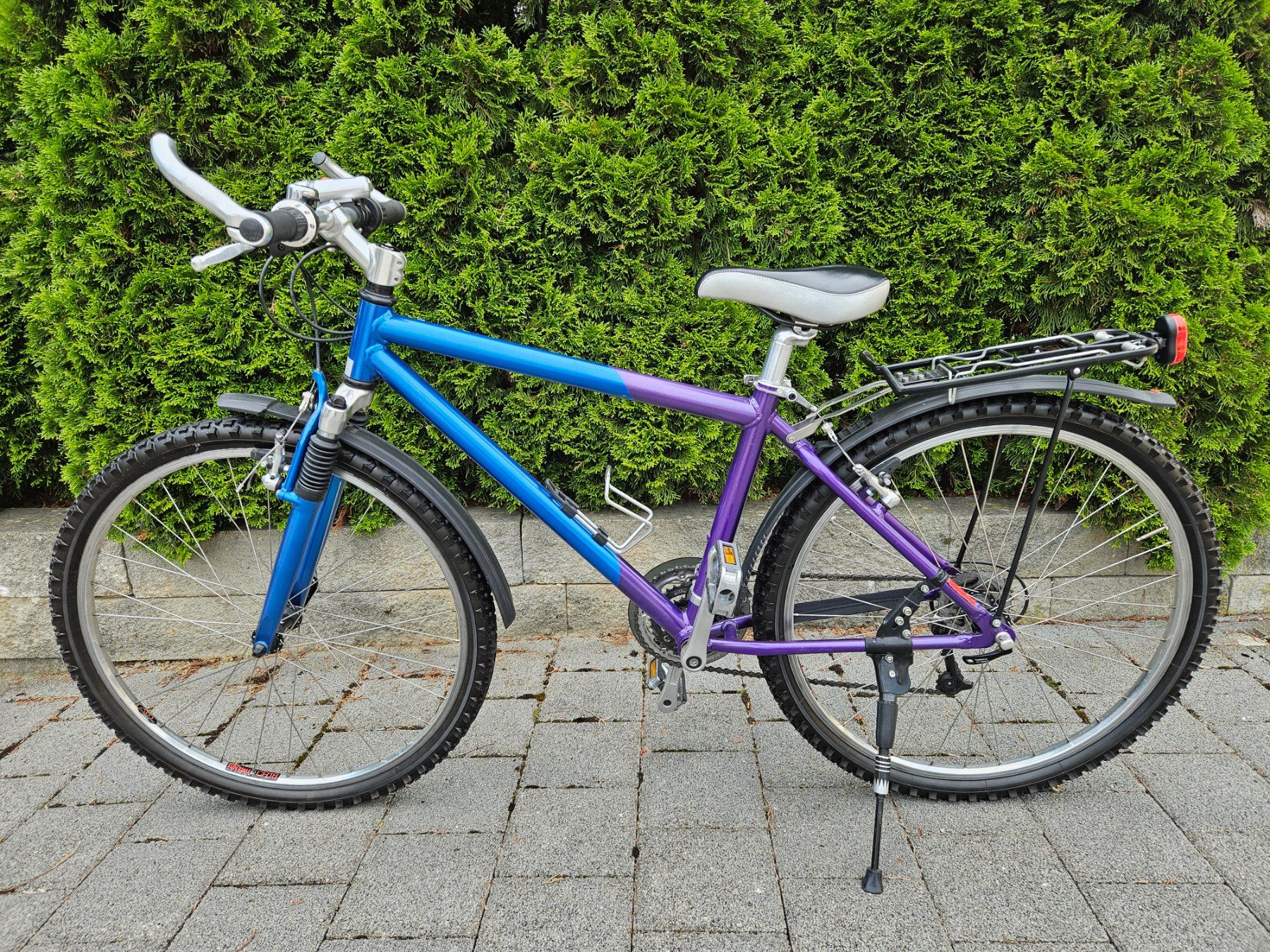 BMC Biciclette: Mountainbike BMC/Lola – Usato da Walterswil SO venduto da Myannick 4