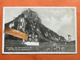 1949 Seelisberg. Alp Weid. Am Weg auf den Niederbauen
