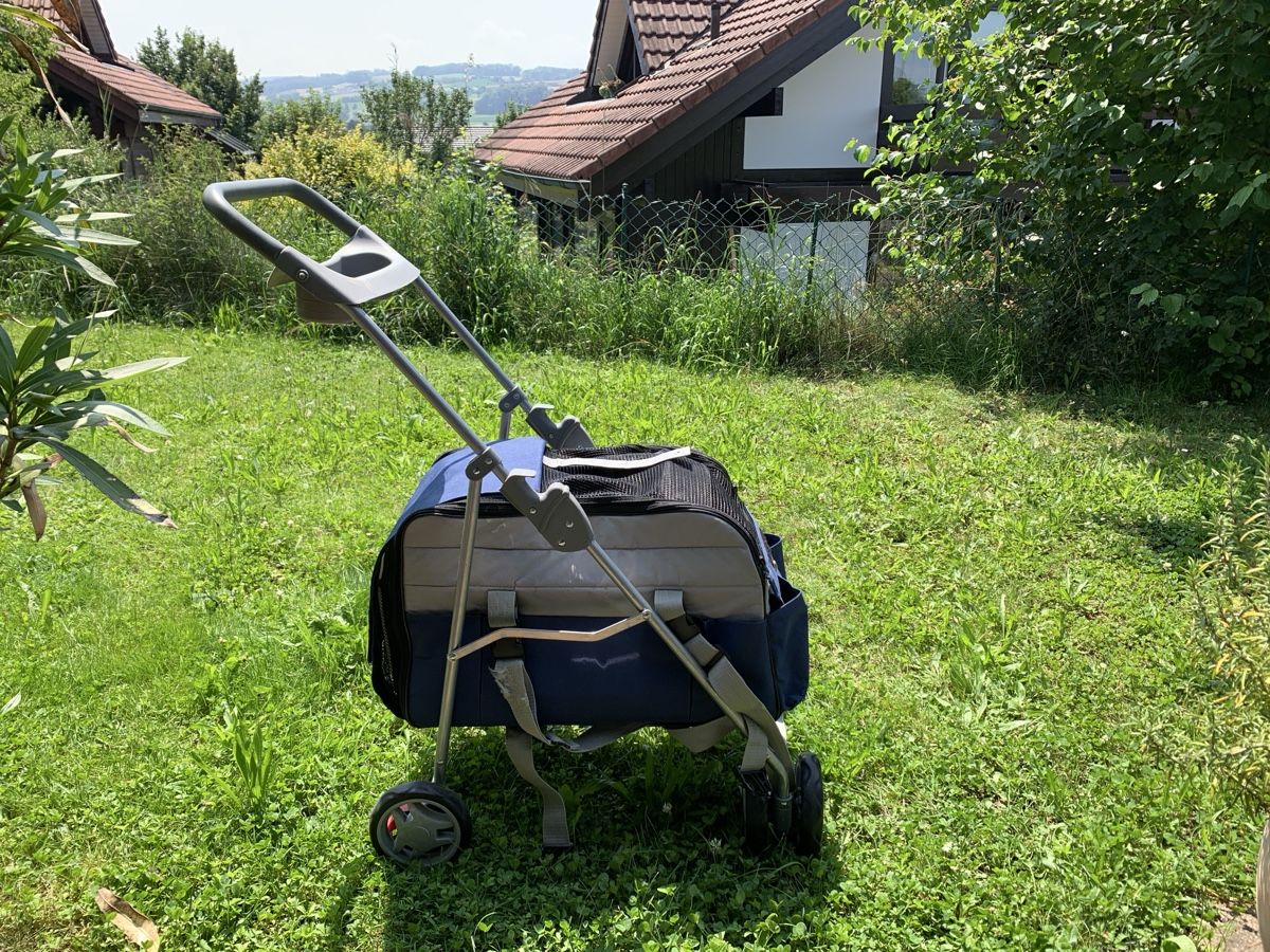 Niches, paniers: Katzen- / Hunde Buggy - Airline tauglich – D'occasion à Waltenschwil par Hendi