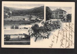 #Langnau ZH , gel. 1919