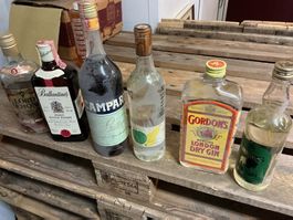 Diverse Schnapps