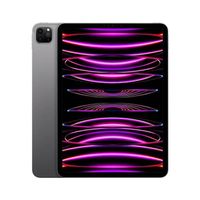 Apple iPad Pro 11 M2 (2022)  256 GB  Komplettset