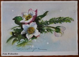 AK Erica von Kager, Weihnachten Christrosen