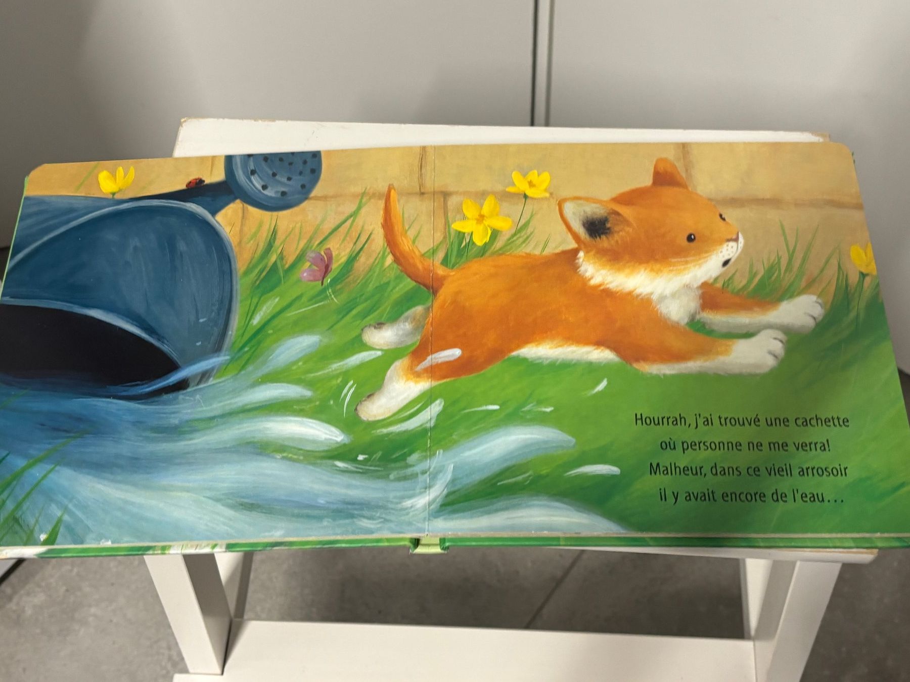Libri: Livre des câlins pour un chaton – Usato da Salvenach venduto da gwenwywar 1
