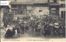 Depart des Chevres a Salvan - Ziegen