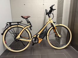 Premium E-Bike Schwabing