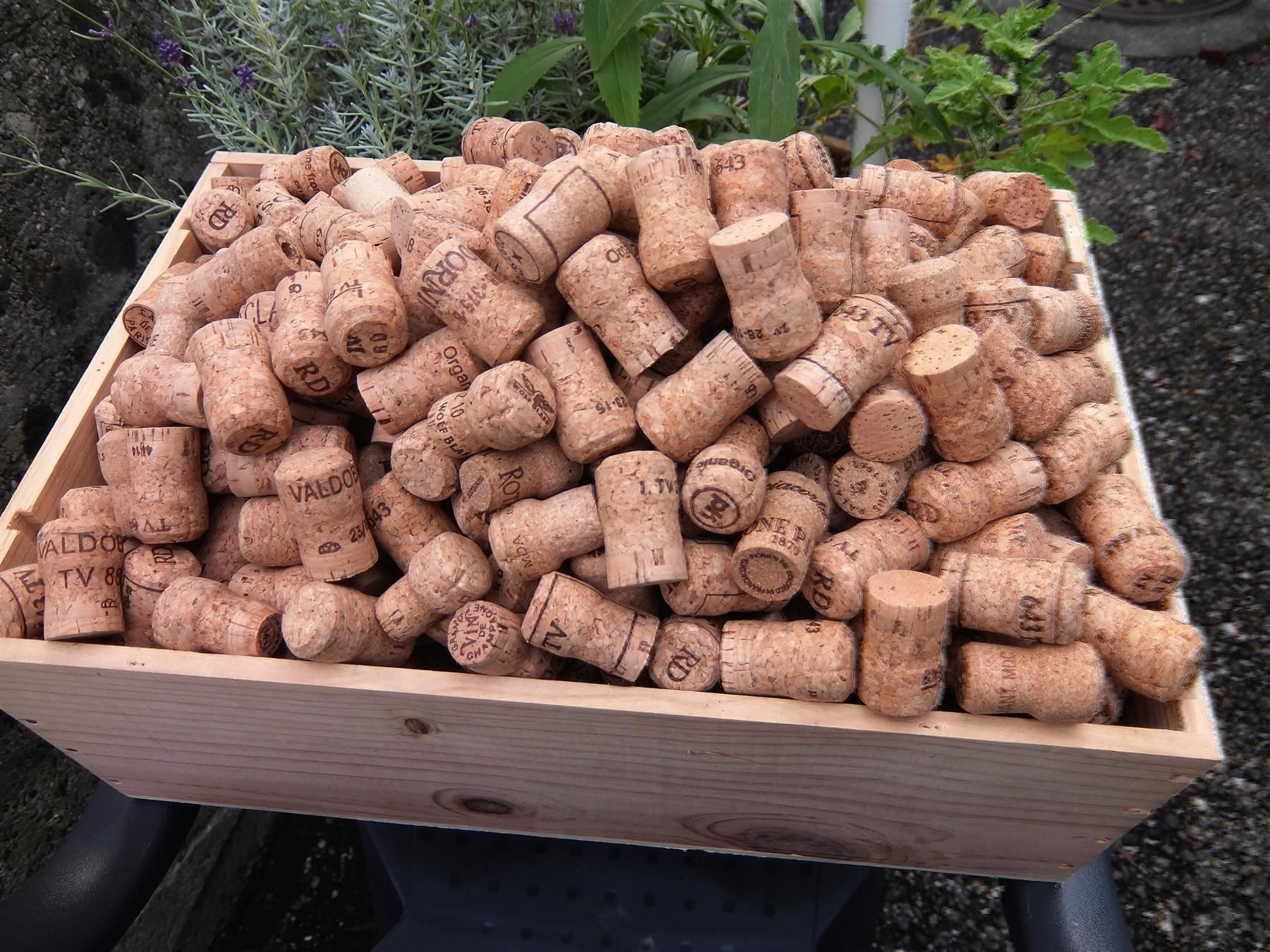Flaschenöffner & -verschlüsse: Über 440 Champ./Prosecco Korken ca. 4 Kg – Gebraucht aus Wöschnau von Vinsale