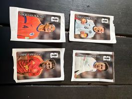 Panini Coca-Cola