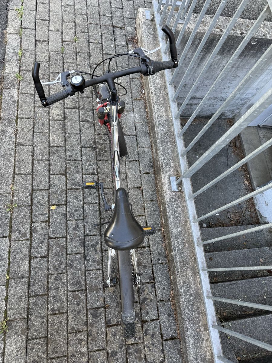 Biciclette: Kindervelo Shark silber rot – Usato da Uster venduto da HiestandReto 5