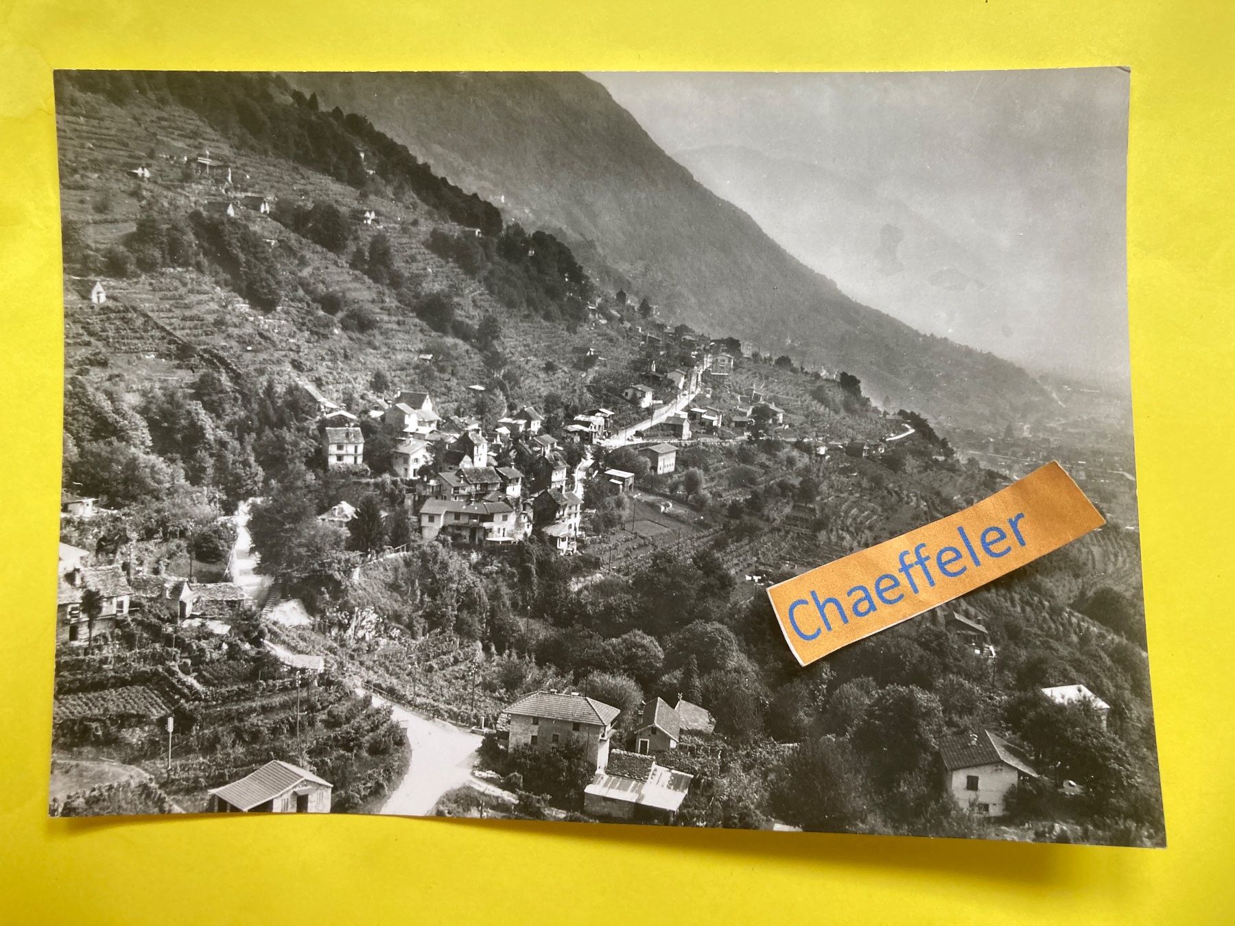 Cartoline postali: Bugaro-Piandesso – Usato da Zürich venduto da Chaeffeler