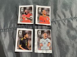 Panini coca cola