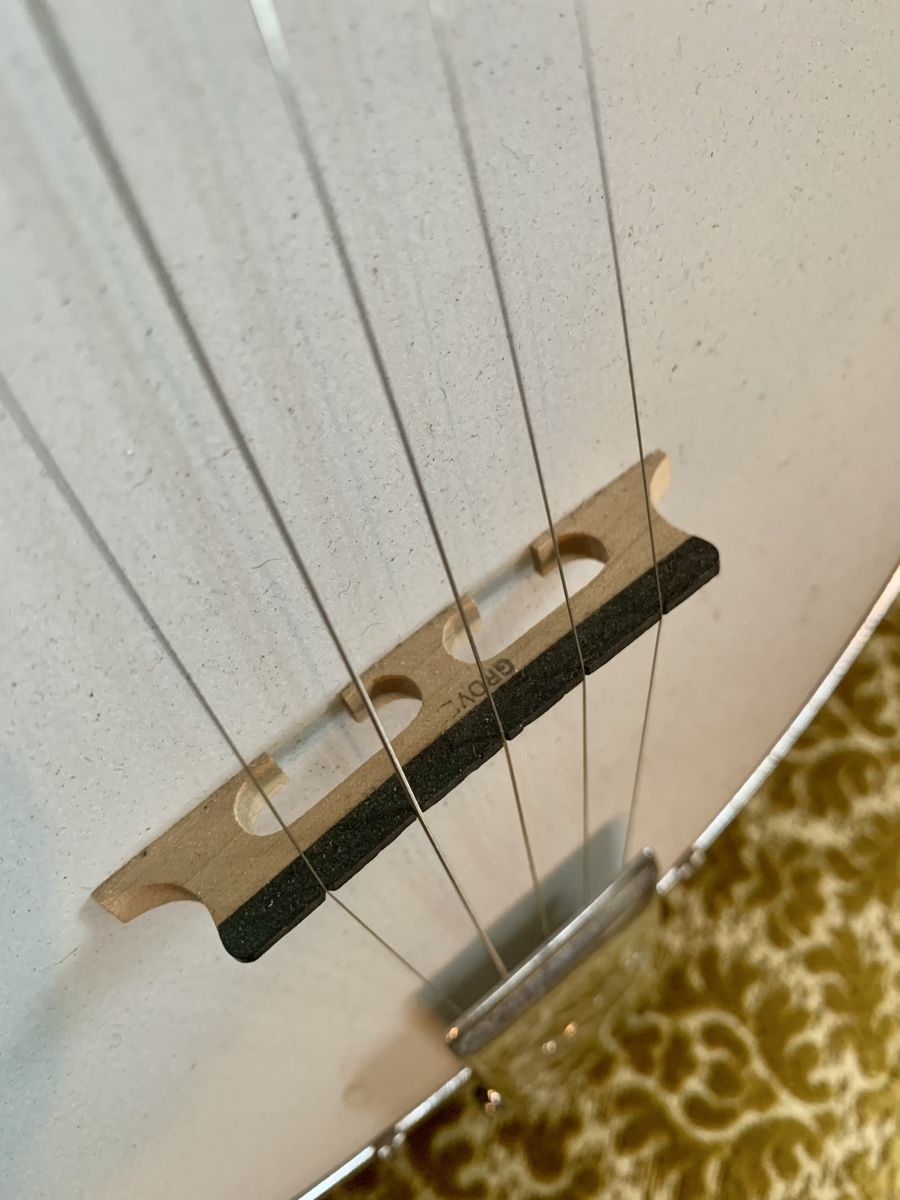 Strumenti musicali: Ozark 2102G 5 String Open Back Banjo – Usato da Auenstein venduto da Stevezee 5