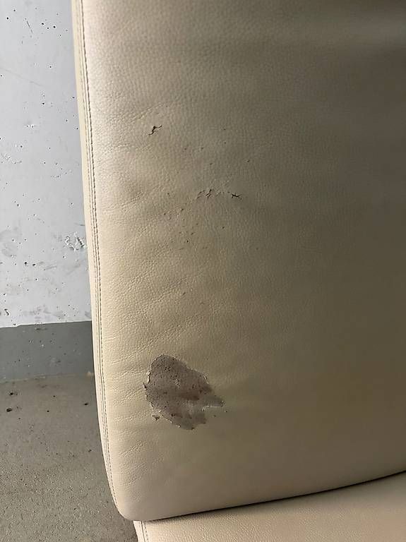 Divani: Couch / Sofa – Usato da Zufikon venduto da Fullspeed8 1