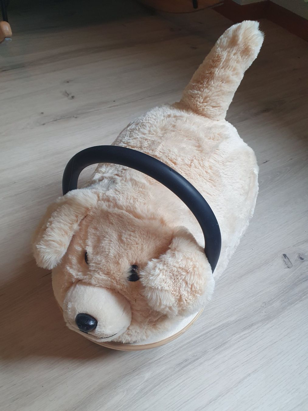 Fahrzeuge für Kinder: Wheely bug Hund – Gebraucht aus Nussbaumen AG von jul_t76k 1