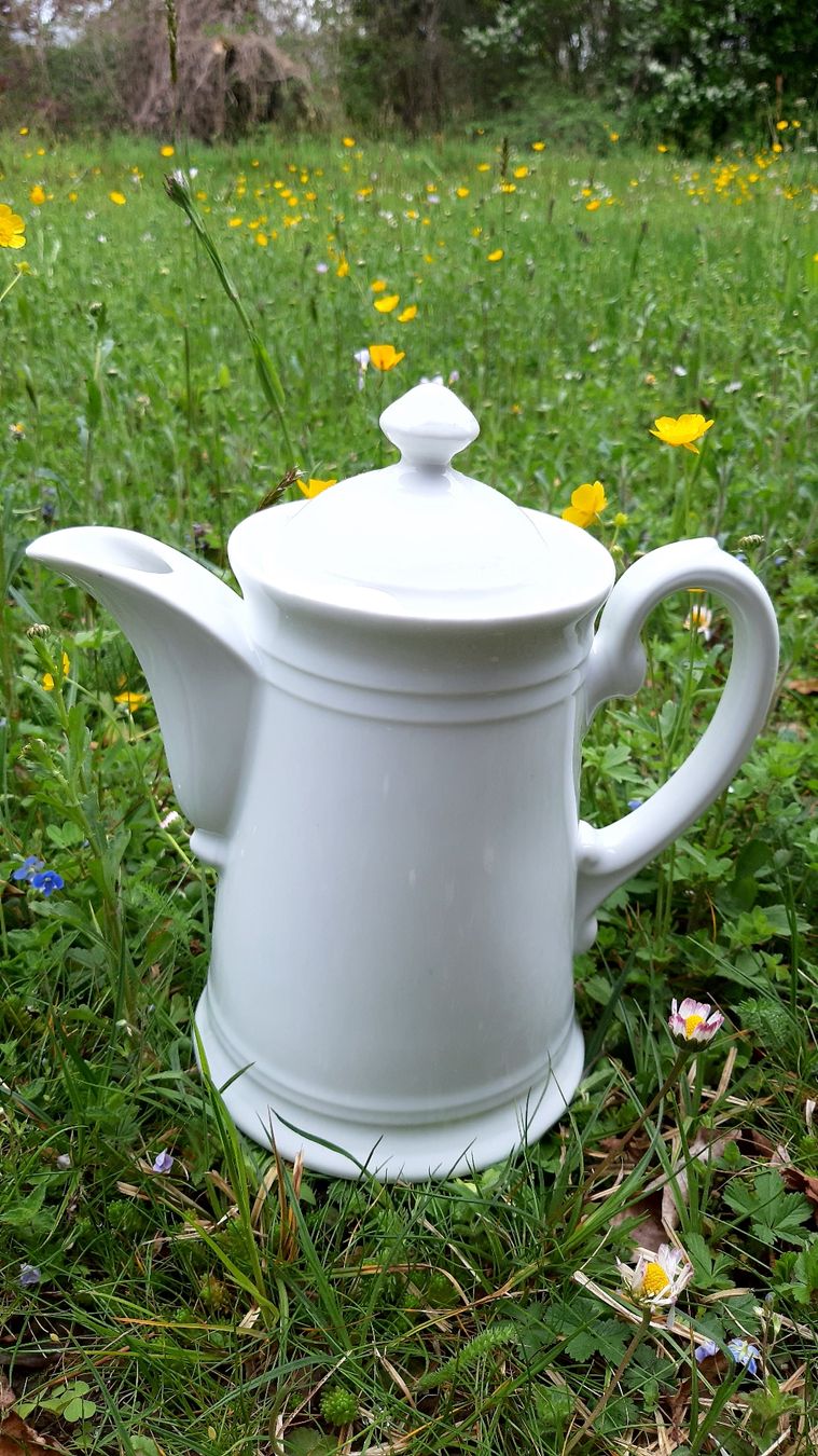 Teekannen: Vintage Kaffee-/Teekanne – Neu und originalverpackt aus Kirchberg BE von CZ09
