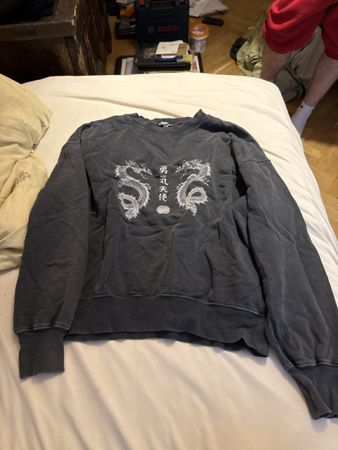 Dragon Sweatshirt, Grauer Pullover