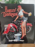 Harley Davidson Wash Babe Tin Metal Sign
