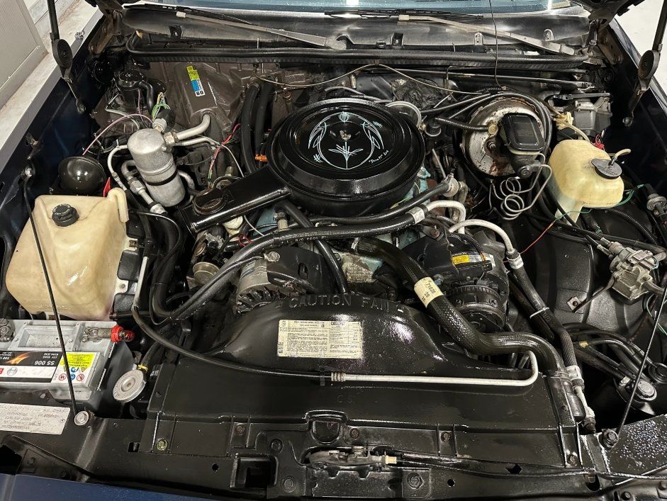 Oldsmobile Automobili: Oldsmobile Cutlass Coupe 5.0 V8 – Usato da Flühli LU venduto da Overland_Motors 5
