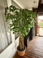 Künstlicher Baum - Kunstpflanze