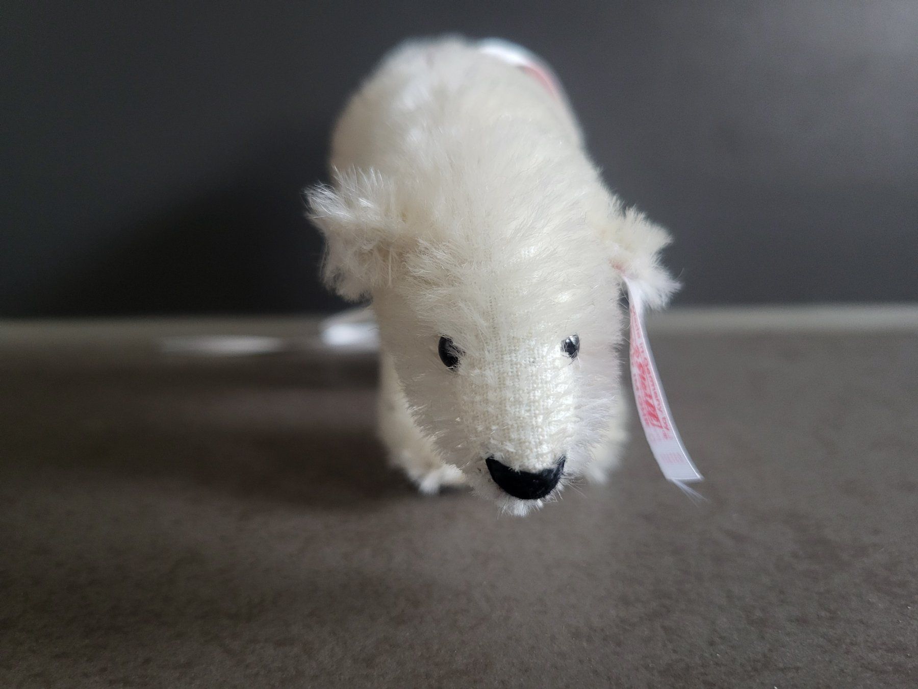 Steiff Spielzeuge: Steiff Eisbär – Neu (gemäss Beschreibung) aus Zürich von Orchidee 1