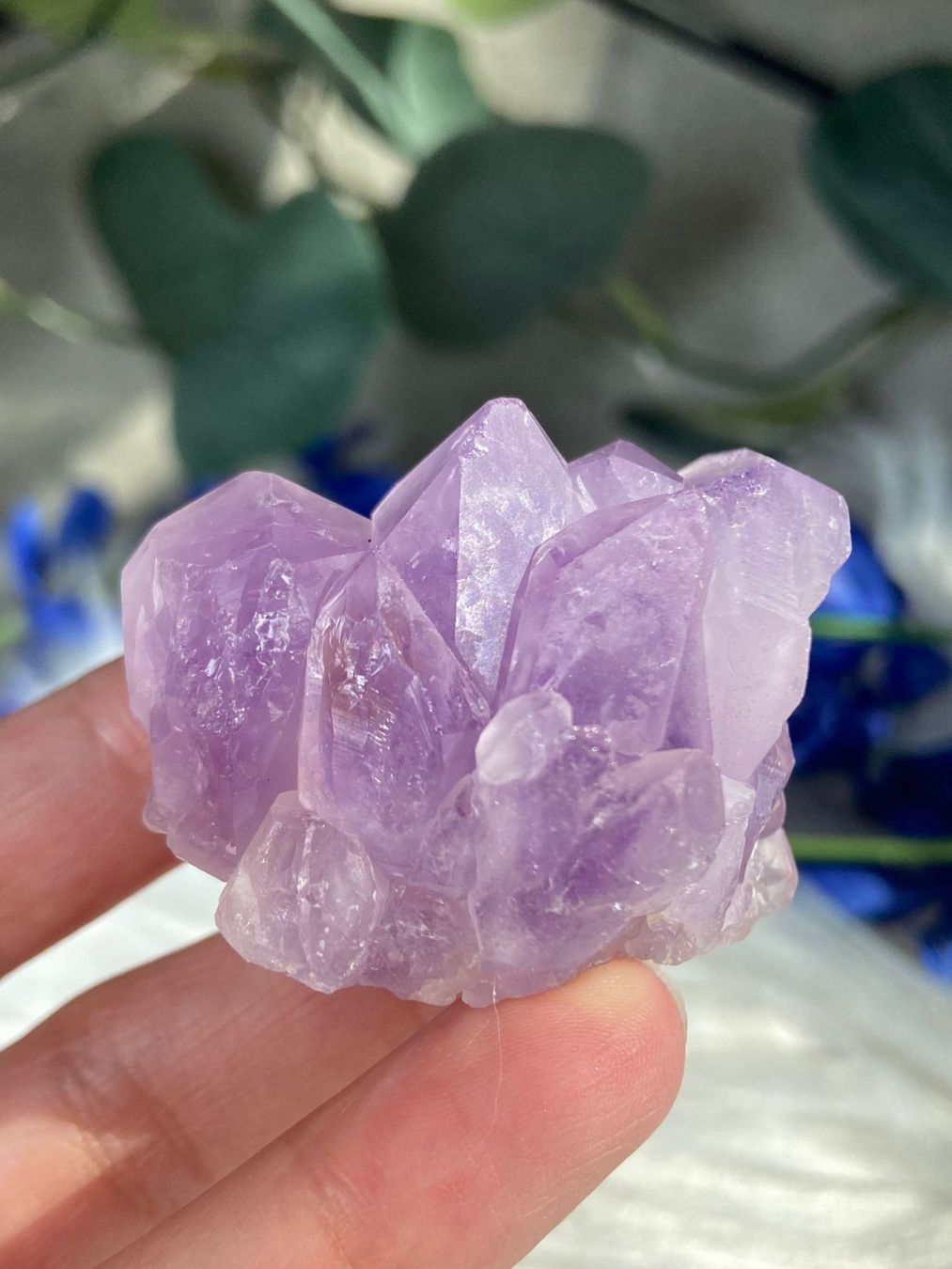 Edelsteine: Amethyst Flower Points – Neu (gemäss Beschreibung) aus Neuheim von m.hald 3