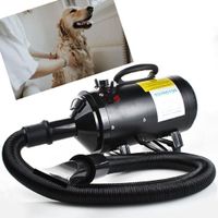 Hundefoen Hundetrockner Pet Dryer 2400W