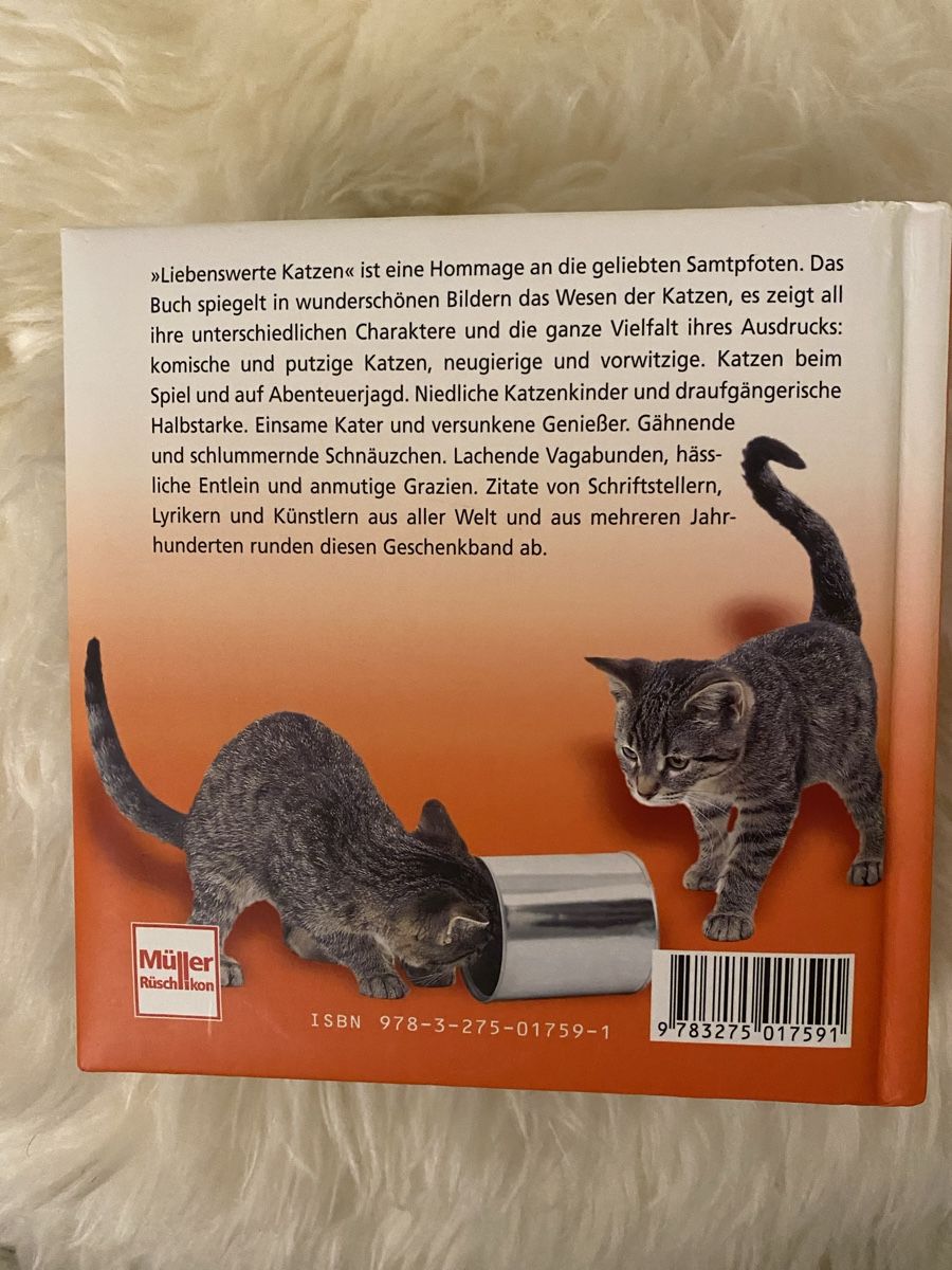 Libri: Bilder Buch Katzenrassen – Nuovo (secondo la descrizione) da Lyss venduto da Sibella56 6