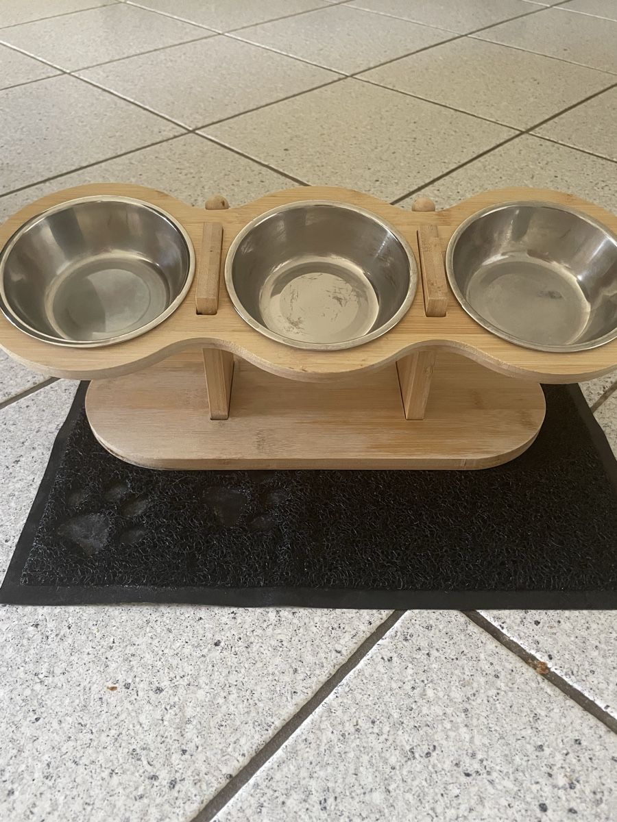 Liege- & Schlafplätze: Accessoires pour chat  – Gebraucht aus Rennaz von Loraccar 1